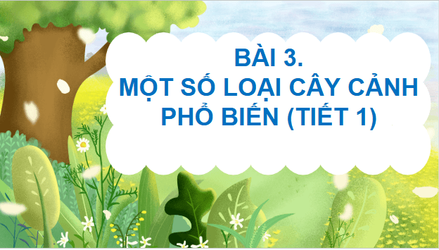 Giáo án điện tử Công nghệ lớp 4 Cánh diều Bài 3: Một số loại cây cảnh phổ biến | PPT Công nghệ 4