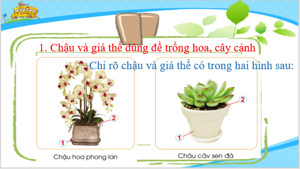 Giáo án điện tử Công nghệ lớp 4 Cánh diều Bài 4: Chậu và giá thể trồng hoa, cây cảnh | PPT Công nghệ 4