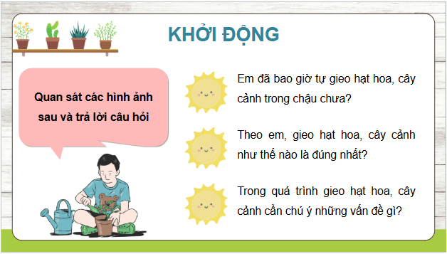 Giáo án điện tử Công nghệ lớp 4 Kết nối tri thức Bài 4: Gieo hạt hoa, cây cảnh trong chậu | PPT Công nghệ 4