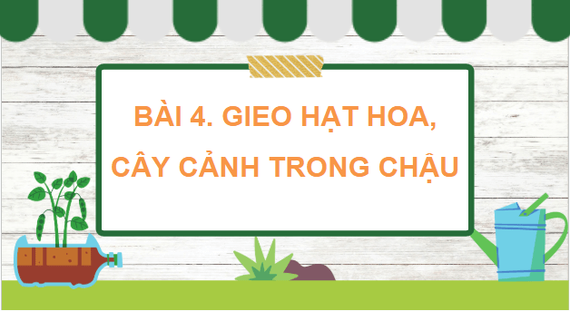 Giáo án điện tử Công nghệ lớp 4 Kết nối tri thức Bài 4: Gieo hạt hoa, cây cảnh trong chậu | PPT Công nghệ 4