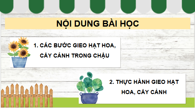 Giáo án điện tử Công nghệ lớp 4 Kết nối tri thức Bài 4: Gieo hạt hoa, cây cảnh trong chậu | PPT Công nghệ 4