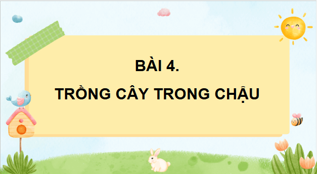 Giáo án điện tử Công nghệ lớp 4 Chân trời sáng tạo Bài 4: Trồng cây cảnh trong chậu | PPT Công nghệ 4