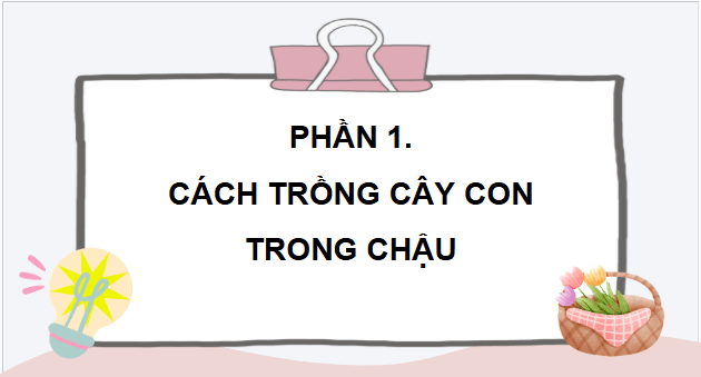 Giáo án điện tử Công nghệ lớp 4 Chân trời sáng tạo Bài 4: Trồng cây cảnh trong chậu | PPT Công nghệ 4