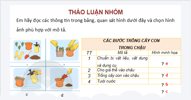 Giáo án điện tử Công nghệ lớp 4 Chân trời sáng tạo Bài 4: Trồng cây cảnh trong chậu | PPT Công nghệ 4