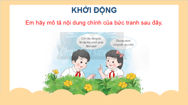 Giáo án điện tử Công nghệ lớp 4 Chân trời sáng tạo Bài 5: Chăm sóc hoa, cây cảnh trong chậu | PPT Công nghệ 4