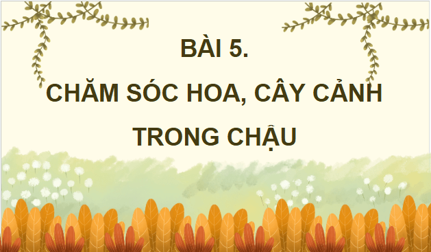 Giáo án điện tử Công nghệ lớp 4 Chân trời sáng tạo Bài 5: Chăm sóc hoa, cây cảnh trong chậu | PPT Công nghệ 4