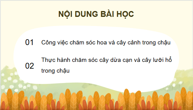 Giáo án điện tử Công nghệ lớp 4 Chân trời sáng tạo Bài 5: Chăm sóc hoa, cây cảnh trong chậu | PPT Công nghệ 4