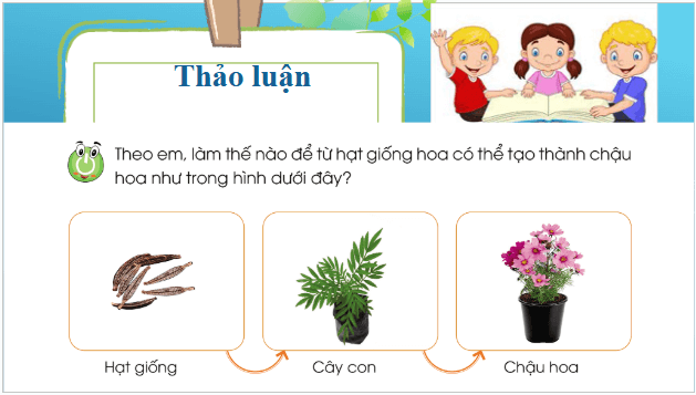 Giáo án điện tử Công nghệ lớp 4 Cánh diều Bài 5: Gieo hạt và trồng cây con trong chậu | PPT Công nghệ 4