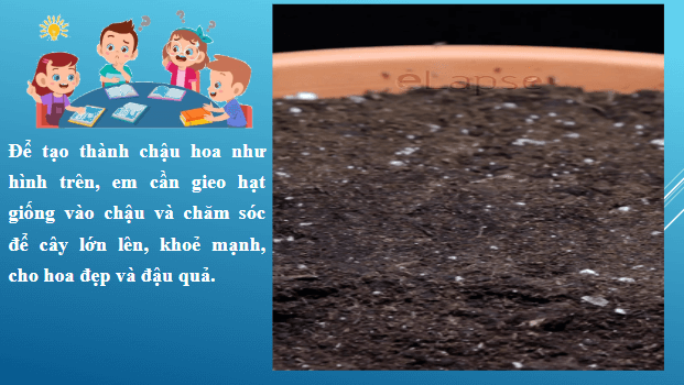 Giáo án điện tử Công nghệ lớp 4 Cánh diều Bài 5: Gieo hạt và trồng cây con trong chậu | PPT Công nghệ 4