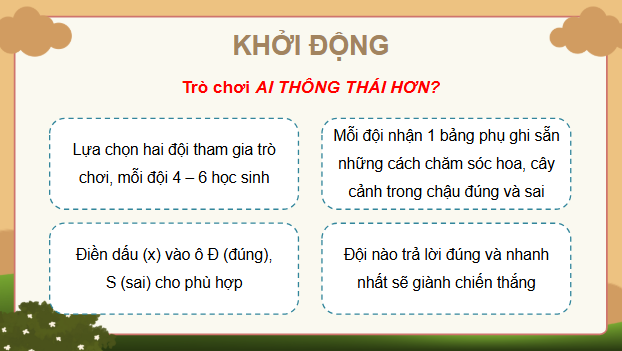 Giáo án điện tử Công nghệ lớp 4 Kết nối tri thức Bài 6: Chăm sóc hoa, cây cảnh trong chậu | PPT Công nghệ 4