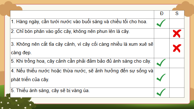 Giáo án điện tử Công nghệ lớp 4 Kết nối tri thức Bài 6: Chăm sóc hoa, cây cảnh trong chậu | PPT Công nghệ 4