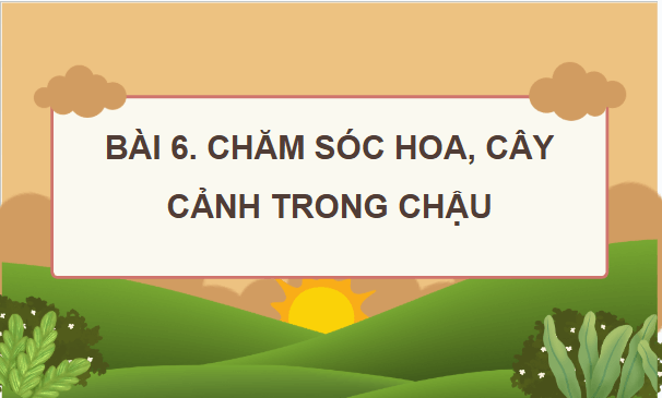 Giáo án điện tử Công nghệ lớp 4 Kết nối tri thức Bài 6: Chăm sóc hoa, cây cảnh trong chậu | PPT Công nghệ 4