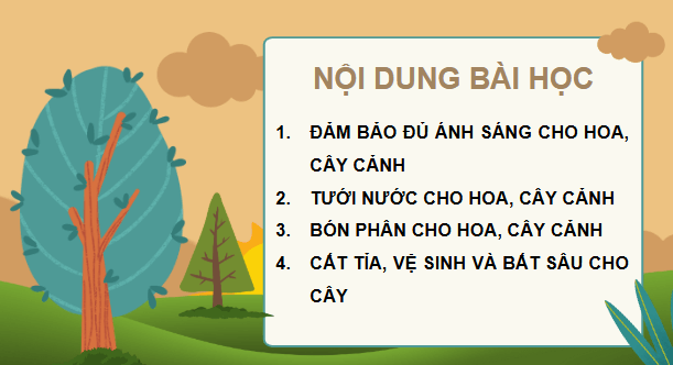 Giáo án điện tử Công nghệ lớp 4 Kết nối tri thức Bài 6: Chăm sóc hoa, cây cảnh trong chậu | PPT Công nghệ 4