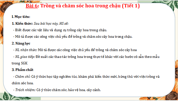 Giáo án điện tử Công nghệ lớp 4 Cánh diều Bài 6: Trồng và chăm sóc hoa trong chậu | PPT Công nghệ 4