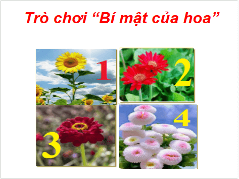 Giáo án điện tử Công nghệ lớp 4 Cánh diều Bài 7: Trồng và chăm sóc cây cảnh trong chậu | PPT Công nghệ 4