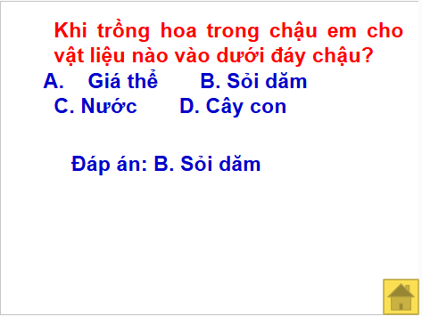 Giáo án điện tử Công nghệ lớp 4 Cánh diều Bài 7: Trồng và chăm sóc cây cảnh trong chậu | PPT Công nghệ 4