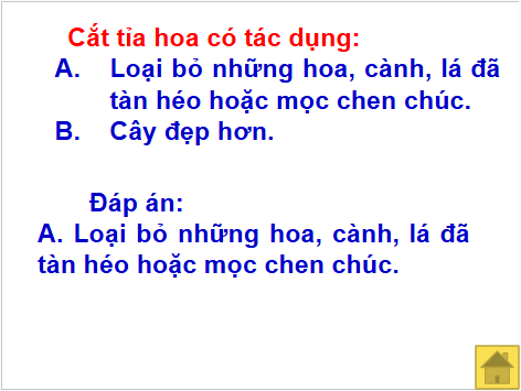 Giáo án điện tử Công nghệ lớp 4 Cánh diều Bài 7: Trồng và chăm sóc cây cảnh trong chậu | PPT Công nghệ 4