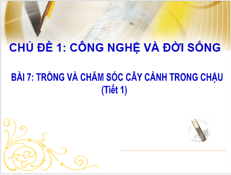 Giáo án điện tử Công nghệ lớp 4 Cánh diều Bài 7: Trồng và chăm sóc cây cảnh trong chậu | PPT Công nghệ 4