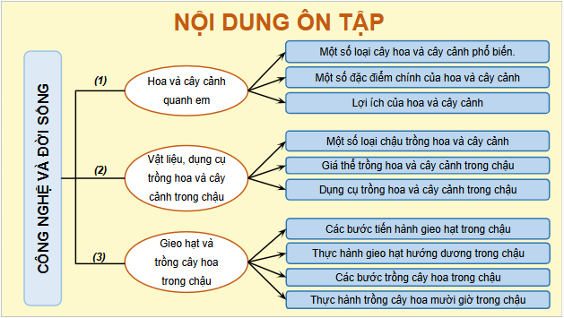 Giáo án điện tử Công nghệ lớp 4 Chân trời sáng tạo Ôn tập phần 1: Công nghệ và đời sống | PPT Công nghệ 4