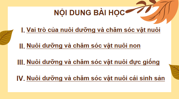 Giáo án điện tử Công nghệ 7 Kết nối tri thức Bài 10: Nuôi dưỡng và chăm sóc vật nuôi | PPT Công nghệ 7