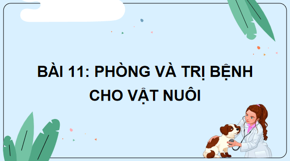 Giáo án điện tử Công nghệ 7 Kết nối tri thức Bài 11: Phòng và trị bệnh cho vật nuôi | PPT Công nghệ 7
