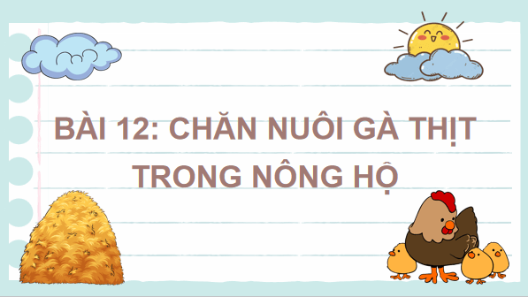 Giáo án điện tử Công nghệ 7 Kết nối tri thức Bài 12: Chăn nuôi gà thịt trong nông hộ | PPT Công nghệ 7