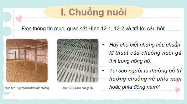 Giáo án điện tử Công nghệ 7 Kết nối tri thức Bài 12: Chăn nuôi gà thịt trong nông hộ | PPT Công nghệ 7