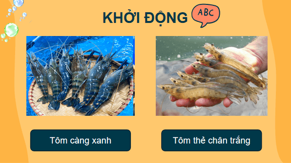 Giáo án điện tử Công nghệ 7 Kết nối tri thức Bài 14: Giới thiệu về thủy sản | PPT Công nghệ 7