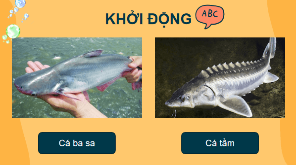 Giáo án điện tử Công nghệ 7 Kết nối tri thức Bài 14: Giới thiệu về thủy sản | PPT Công nghệ 7
