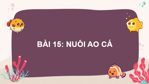 Giáo án điện tử Công nghệ 7 Kết nối tri thức Bài 15: Nuôi cá ao | PPT Công nghệ 7