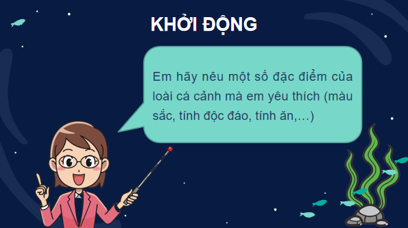Giáo án điện tử Công nghệ 7 Kết nối tri thức Bài 16: Thực hành. Lập kế hoạch nuôi cá cảnh | PPT Công nghệ 7