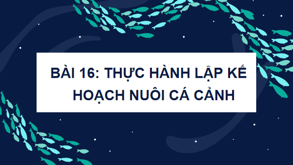 Giáo án điện tử Công nghệ 7 Kết nối tri thức Bài 16: Thực hành. Lập kế hoạch nuôi cá cảnh | PPT Công nghệ 7