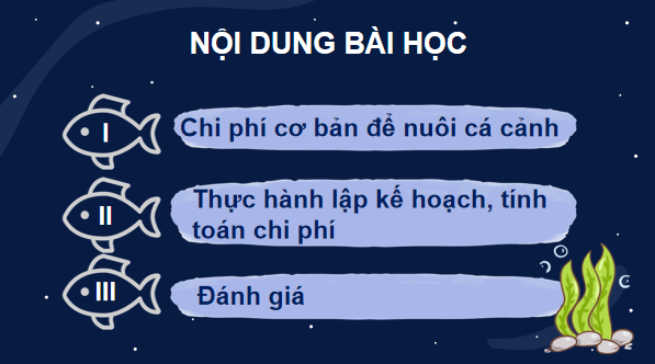 Giáo án điện tử Công nghệ 7 Kết nối tri thức Bài 16: Thực hành. Lập kế hoạch nuôi cá cảnh | PPT Công nghệ 7