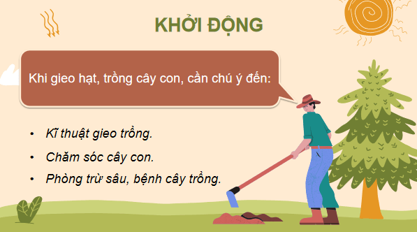 Giáo án điện tử Công nghệ 7 Kết nối tri thức Bài 3: Gieo trồng, chăm sóc và phòng trừ sâu, bệnh cho cây trồng | PPT Công nghệ 7