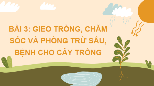 Giáo án điện tử Công nghệ 7 Kết nối tri thức Bài 3: Gieo trồng, chăm sóc và phòng trừ sâu, bệnh cho cây trồng | PPT Công nghệ 7