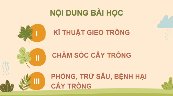 Giáo án điện tử Công nghệ 7 Kết nối tri thức Bài 3: Gieo trồng, chăm sóc và phòng trừ sâu, bệnh cho cây trồng | PPT Công nghệ 7