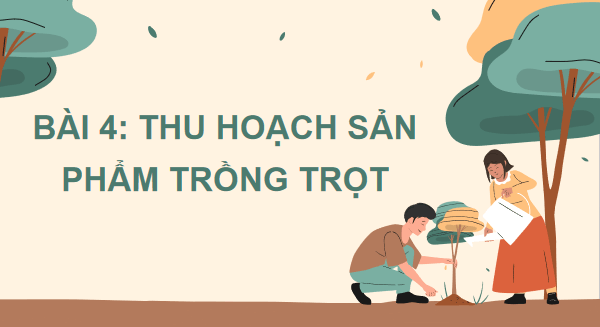 Giáo án điện tử Công nghệ 7 Kết nối tri thức Bài 4: Thu hoạch sản phẩm trồng trọt | PPT Công nghệ 7