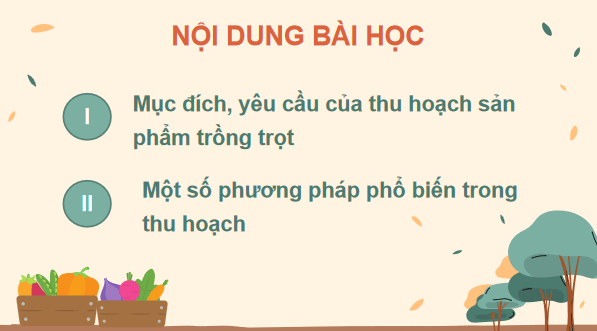 Giáo án điện tử Công nghệ 7 Kết nối tri thức Bài 4: Thu hoạch sản phẩm trồng trọt | PPT Công nghệ 7