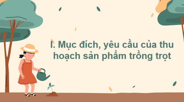 Giáo án điện tử Công nghệ 7 Kết nối tri thức Bài 4: Thu hoạch sản phẩm trồng trọt | PPT Công nghệ 7