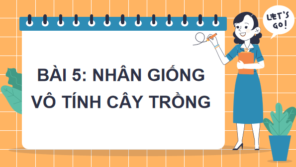 Giáo án điện tử Công nghệ 7 Kết nối tri thức Bài 5: Nhân giống vô tính cây trồng | PPT Công nghệ 7