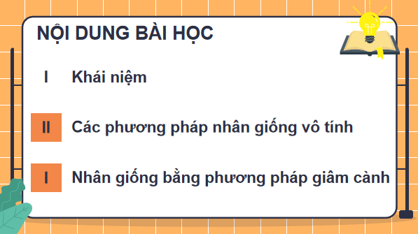 Giáo án điện tử Công nghệ 7 Kết nối tri thức Bài 5: Nhân giống vô tính cây trồng | PPT Công nghệ 7