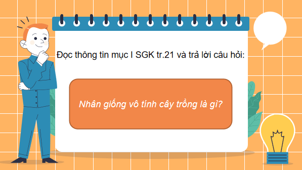 Giáo án điện tử Công nghệ 7 Kết nối tri thức Bài 5: Nhân giống vô tính cây trồng | PPT Công nghệ 7