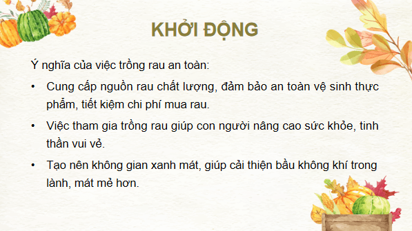 Giáo án điện tử Công nghệ 7 Kết nối tri thức Bài 6: Dự án trồng rau an toàn | PPT Công nghệ 7