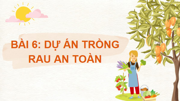 Giáo án điện tử Công nghệ 7 Kết nối tri thức Bài 6: Dự án trồng rau an toàn | PPT Công nghệ 7