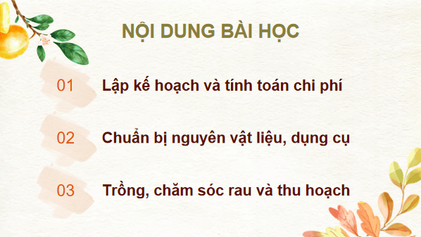 Giáo án điện tử Công nghệ 7 Kết nối tri thức Bài 6: Dự án trồng rau an toàn | PPT Công nghệ 7