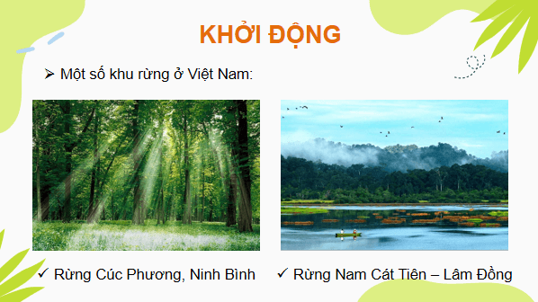Giáo án điện tử Công nghệ 7 Kết nối tri thức Bài 7: Giới thiệu về rừng | PPT Công nghệ 7