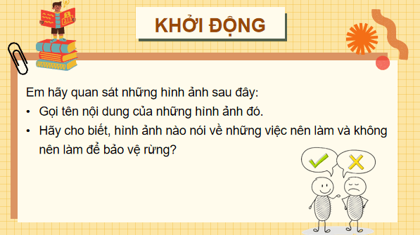 Giáo án điện tử Công nghệ 7 Kết nối tri thức Bài 8: Trồng, chăm sóc và bảo vệ rừng | PPT Công nghệ 7