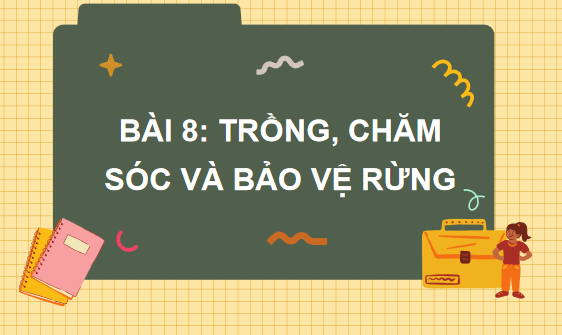 Giáo án điện tử Công nghệ 7 Kết nối tri thức Bài 8: Trồng, chăm sóc và bảo vệ rừng | PPT Công nghệ 7