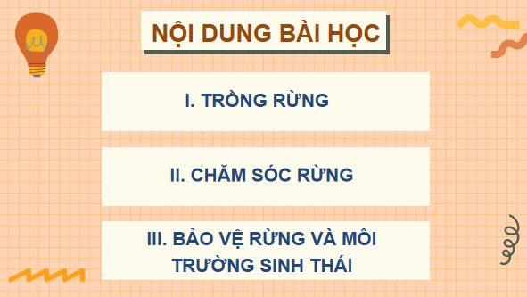 Giáo án điện tử Công nghệ 7 Kết nối tri thức Bài 8: Trồng, chăm sóc và bảo vệ rừng | PPT Công nghệ 7