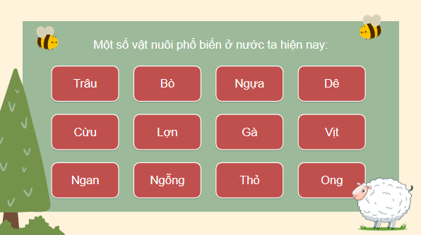 Giáo án điện tử Công nghệ 7 Kết nối tri thức Bài 9: Giới thiệu về chăn nuôi | PPT Công nghệ 7